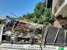 Best Office Cleanout  in Enterprise, WV