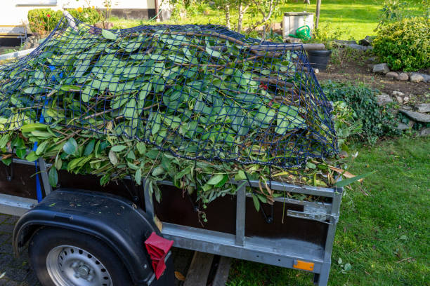Best Yard Waste Removal  in Enterprise, WV